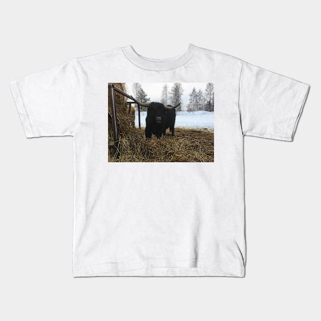 Scottish Highland Cattle Bull 1914 Kids T-Shirt by SaarelaHighland